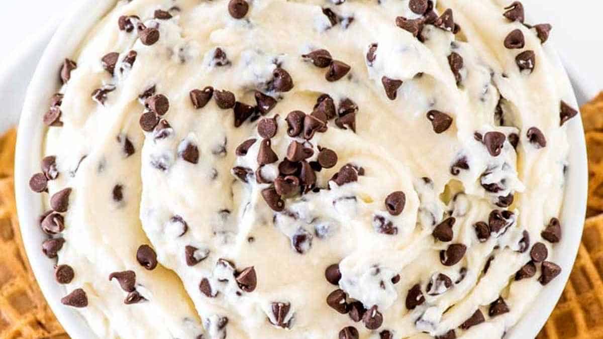 Chocolate chip ice cream in a white bowl.