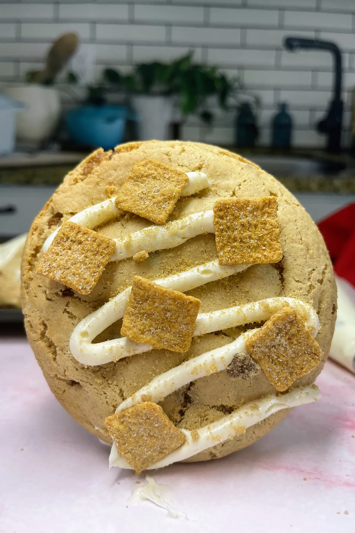 A unique cookie recipe with icing and graham crackers on top.