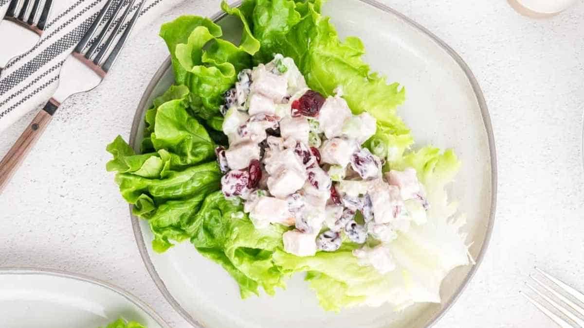 Cranberry chicken salad on a white plate.