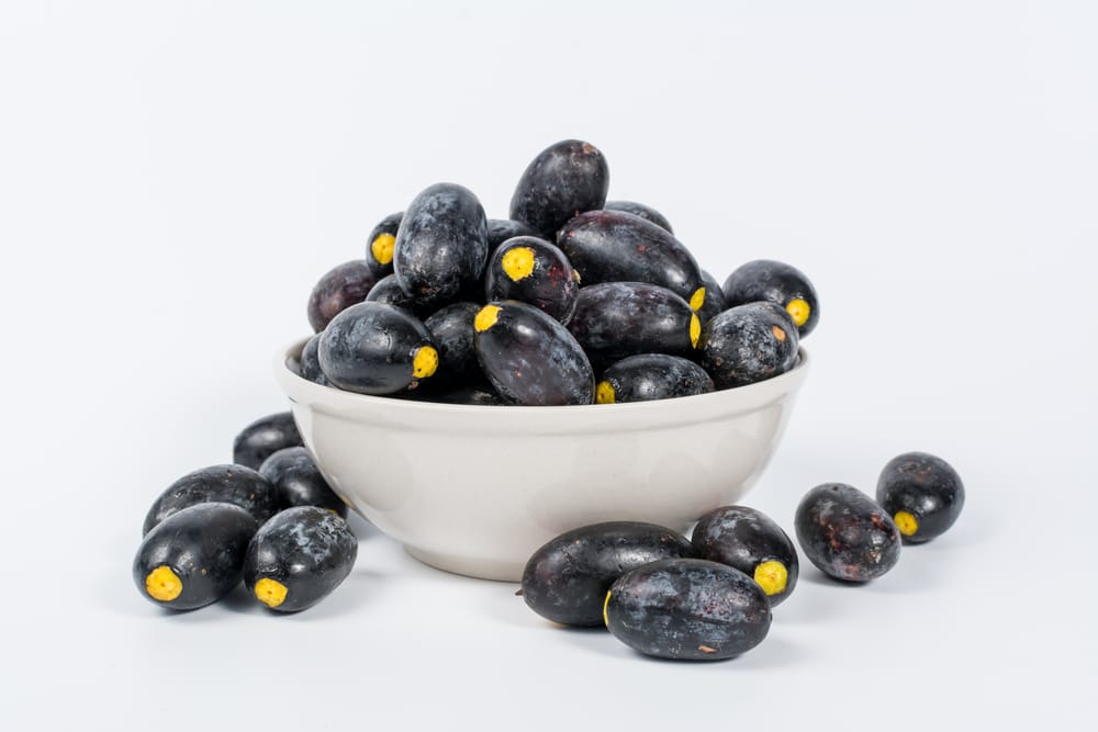 Dark grapes in a bowl on a white background.