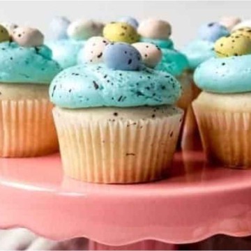 Easy Robin'S Egg Speckled Easter Cupcakes.