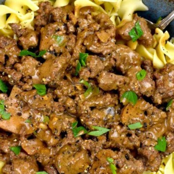 Beef stroganoff in a bowl with noodles.