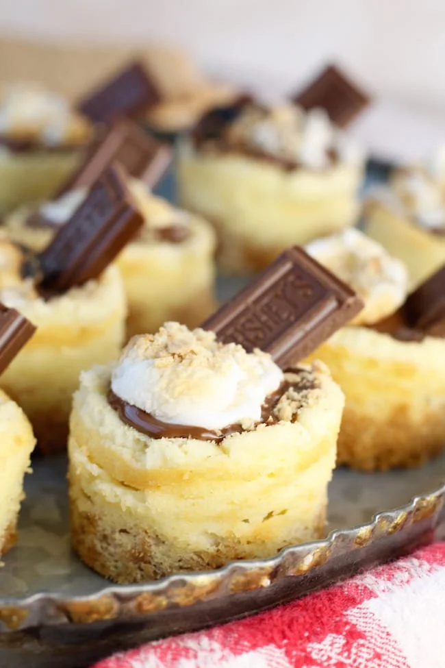 Mini S'mores Cheesecake Dessert / Mini S'mores Cheesecakes Recipe ~ the perfect summer dessert for picnics and cookouts #missinthekitchen #cheesecake #smores
