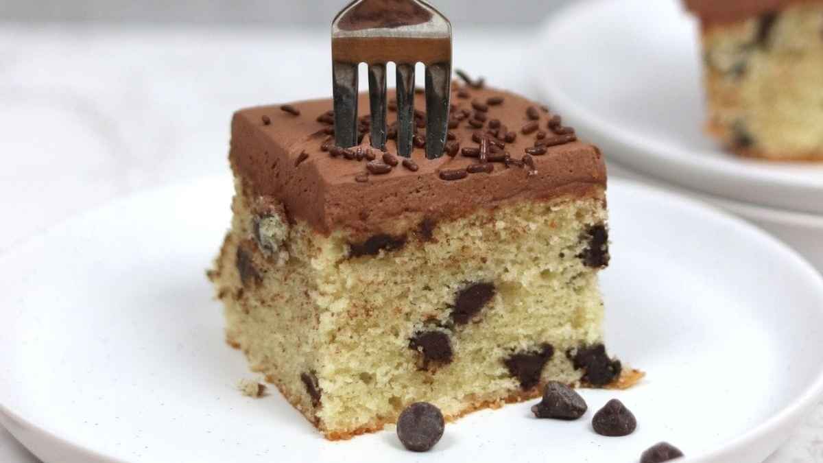 A slice of chocolate chip cake on a plate with a fork.