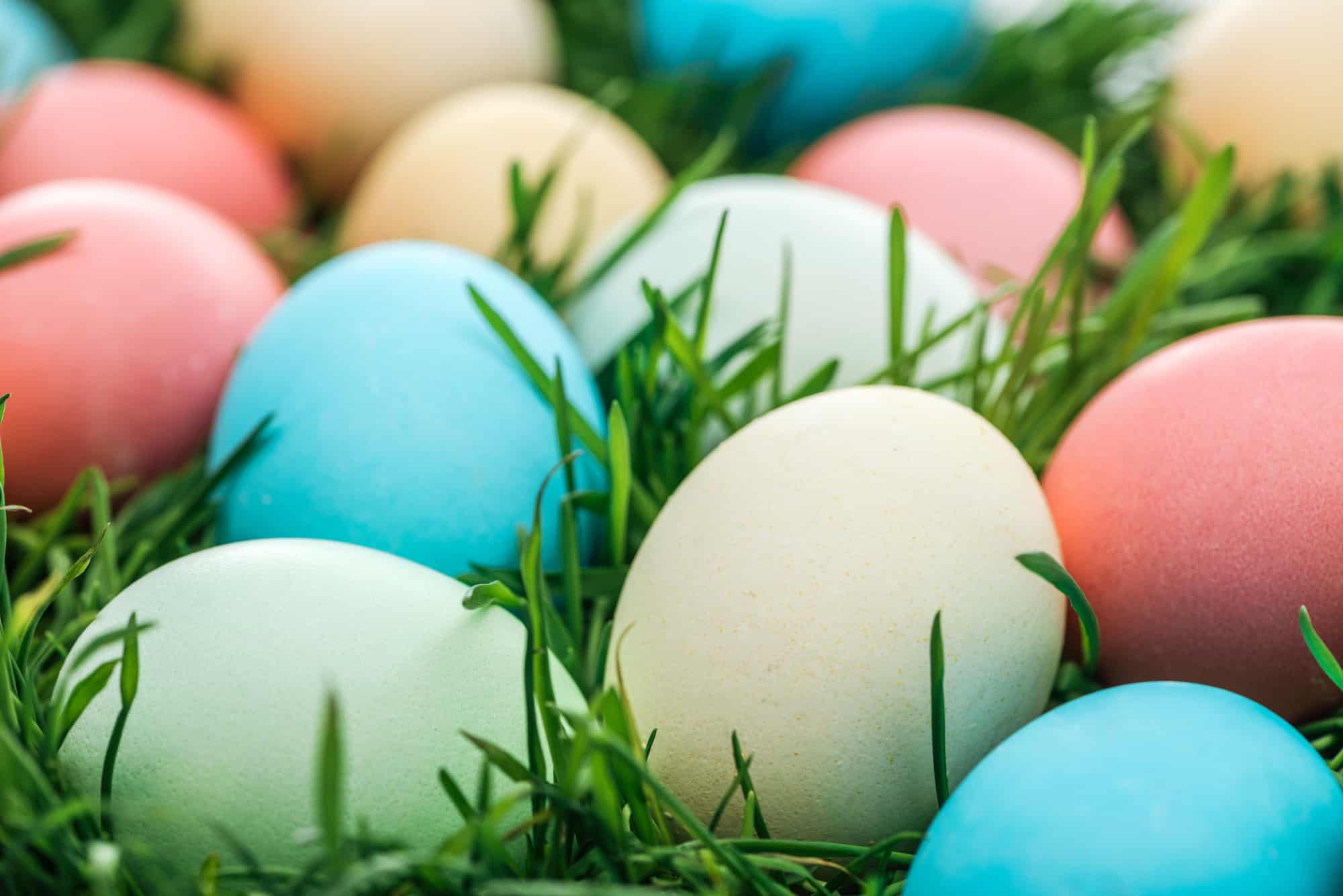 Vibrant Easter eggs nestled in the grass.