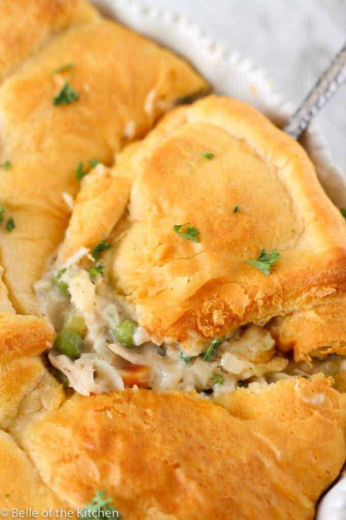 A close up of food, with Chicken and Pie.
