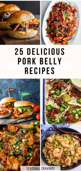 Explore a collection of lip-smacking pork belly recipes that will leave your taste buds begging for more.