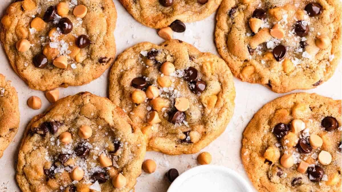 Peanut butter chocolate chip cookies on a white plate.