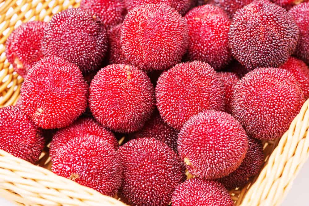 A basket filled with ripe red yams.