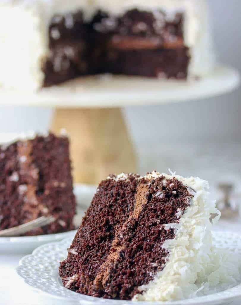 chocolate coconut cake on a plate.
