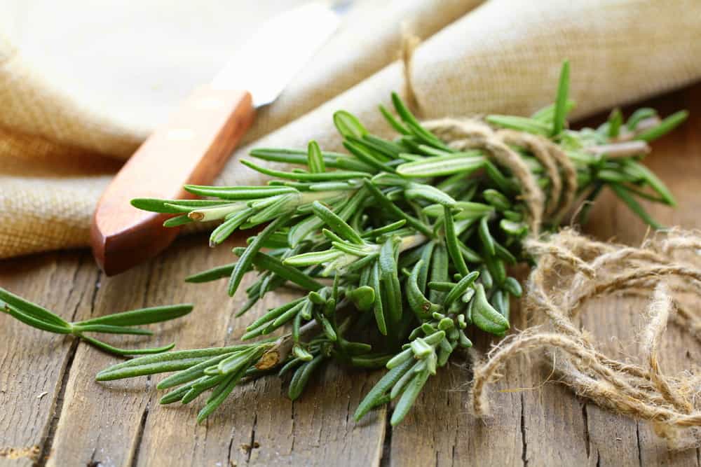 A pile of rosemary with a knife on a wooden table.