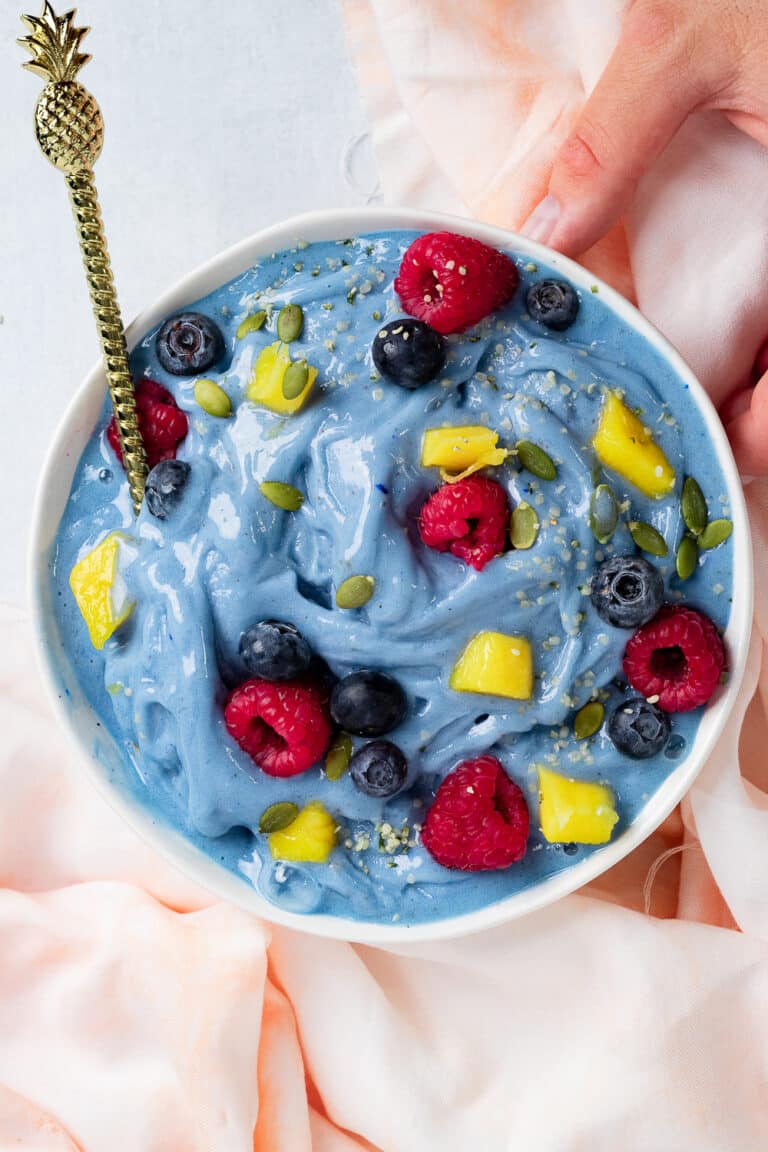 A person holding a bowl of blueberry chia pudding made using Vitamix Recipes.