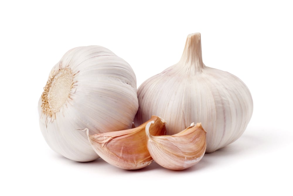 Two whole garlic bulbs and two gloves of ginger isolated on a white background.