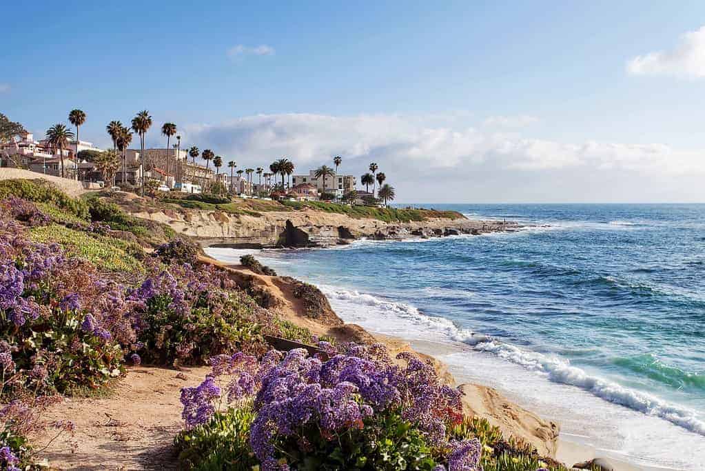 Coastal scene with rocky cliffs, flowering shrubs, and palm trees along the shore. Waves gently crash against the rocks under a blue sky. Houses are visible in the background.