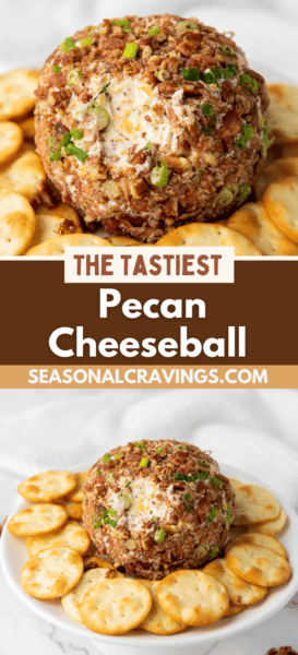 A pecan cheese ball covered in crunchy nuts sits surrounded by round crackers on a white plate. The text overlay reads "The Tastiest Pecan Cheese Ball," with a website URL displayed.