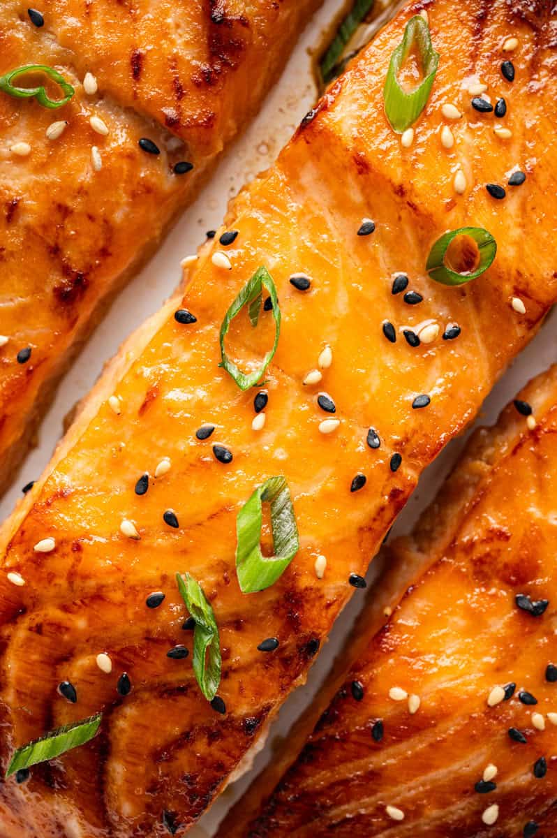 miso salmon close up