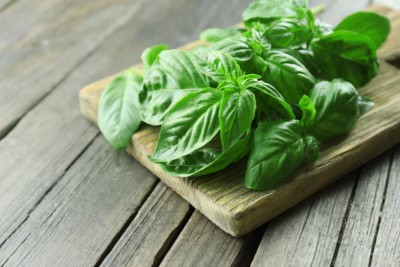 Basil Source How to Prep, Cook and Store Fresh Basil - Seasonal Cravings