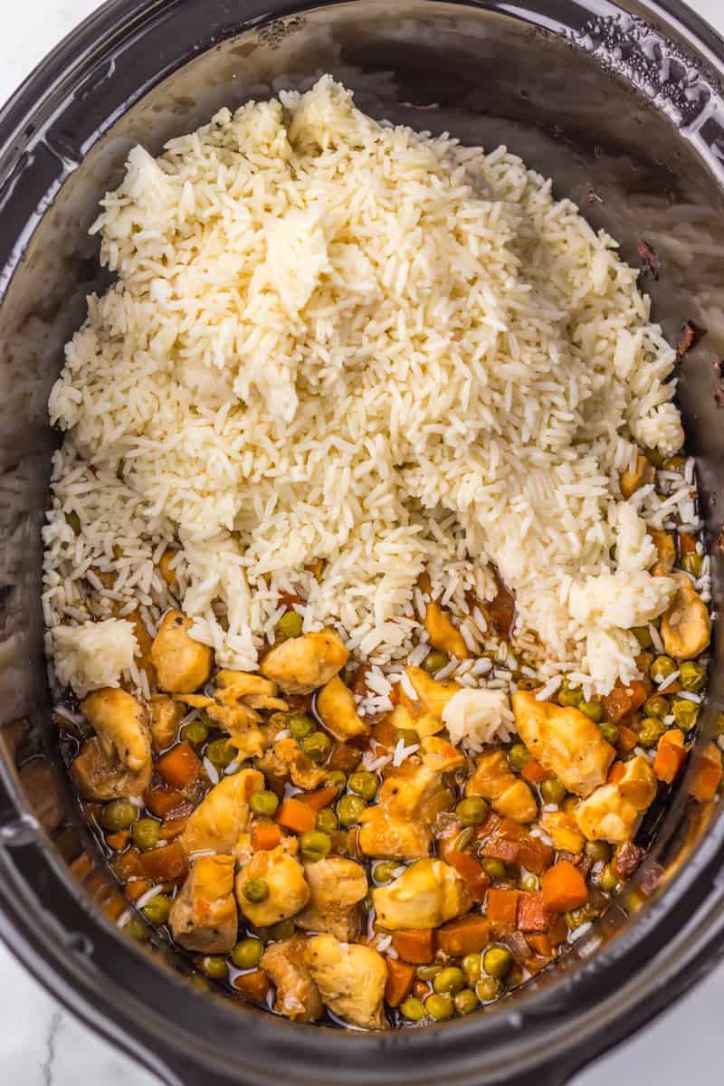 rice chicken and vegetables in the crock pot