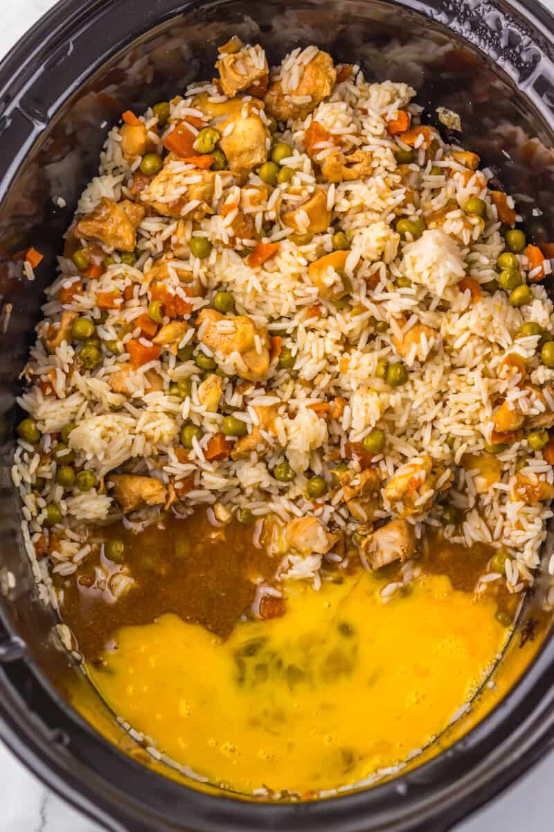 spices added to the crock pot fried rice and chicken