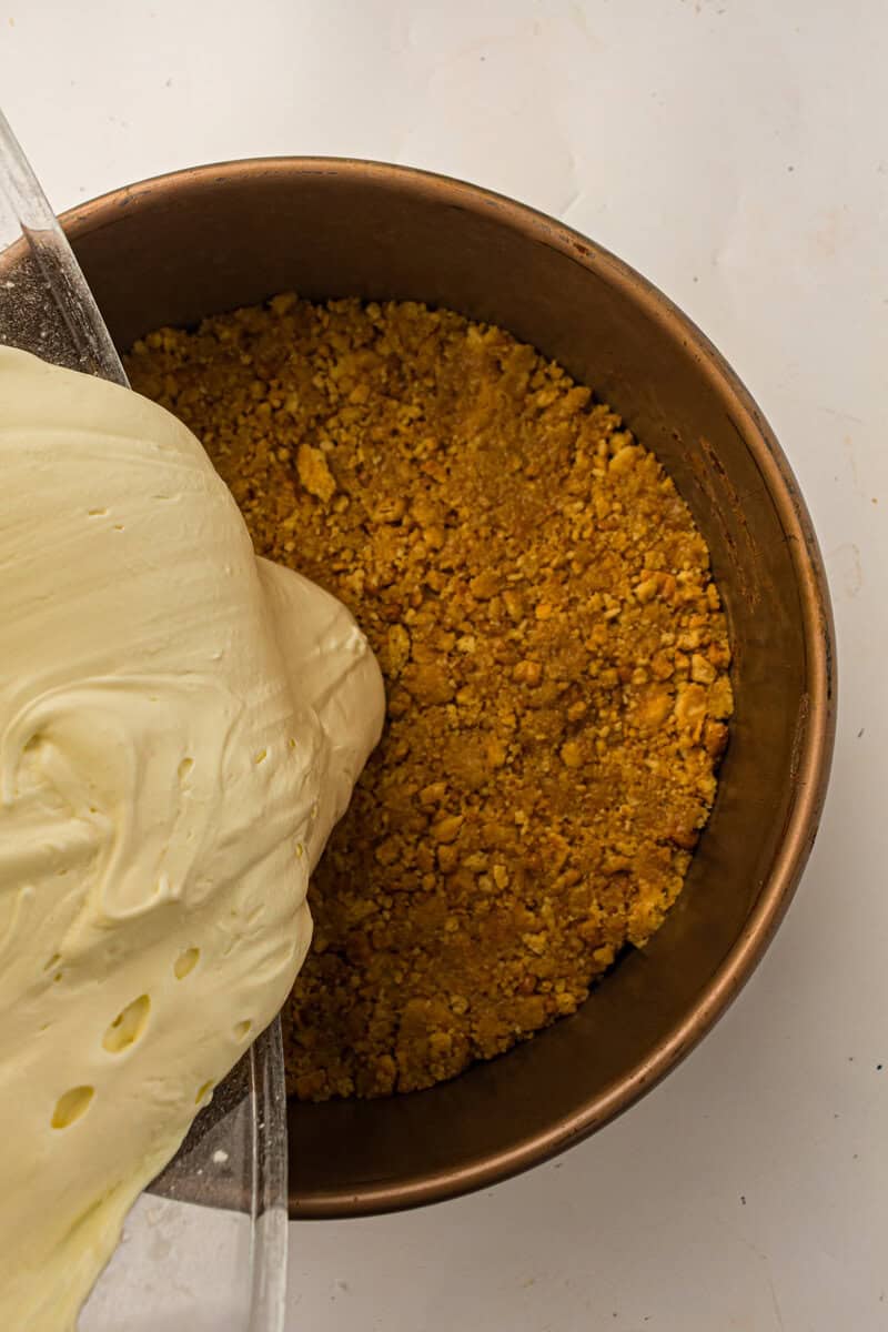 mixture poured into springform pan