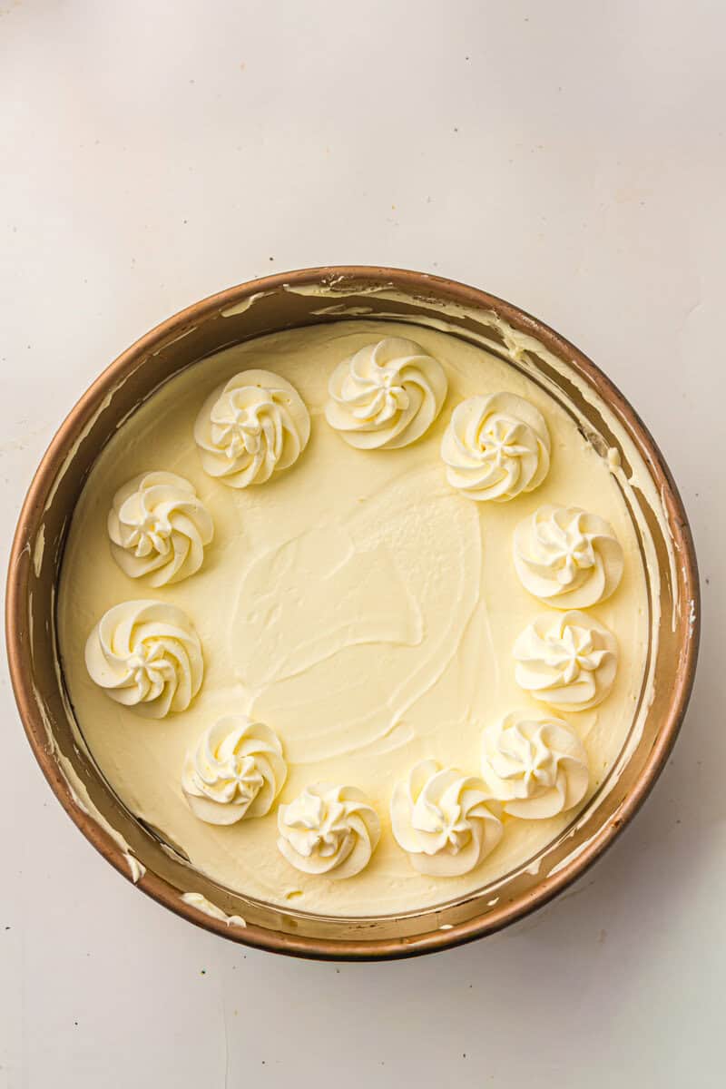 cheesecake with whipped cream piped on top