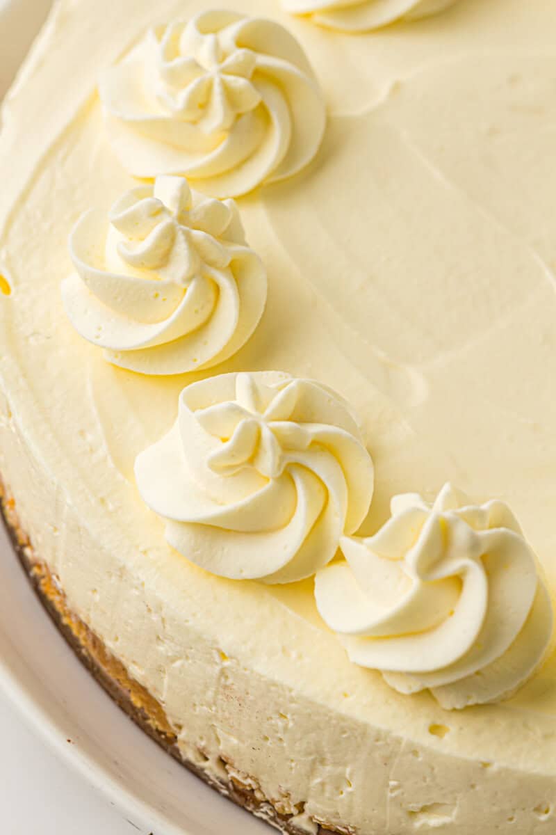 roses on top of cheesecake