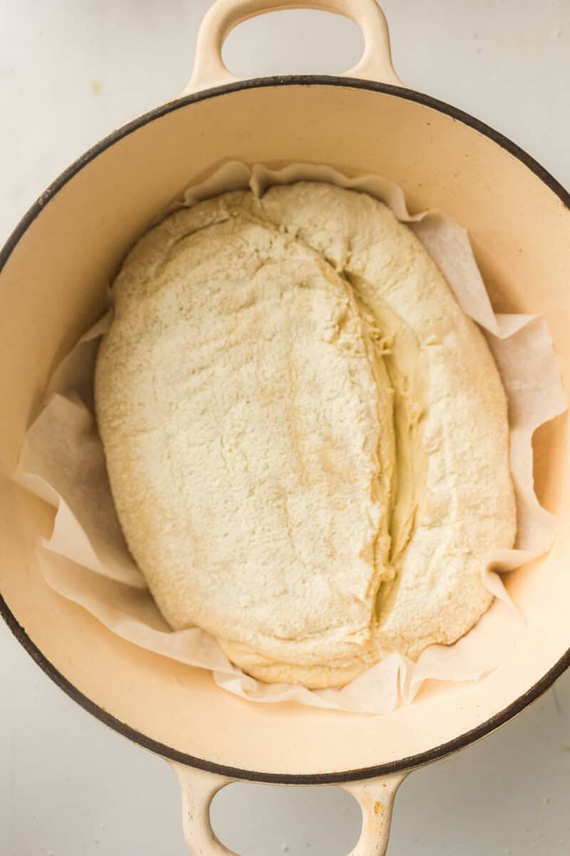 dough in a dutch oven