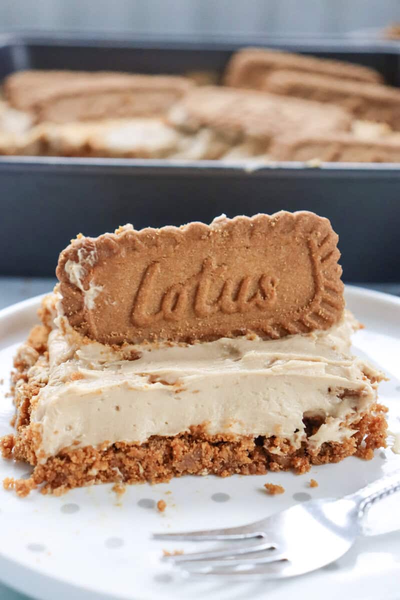 A slice of no bake Biscoff chesecake on a white plate with a Lotus Biscoff cookie on top and a fork nearby.