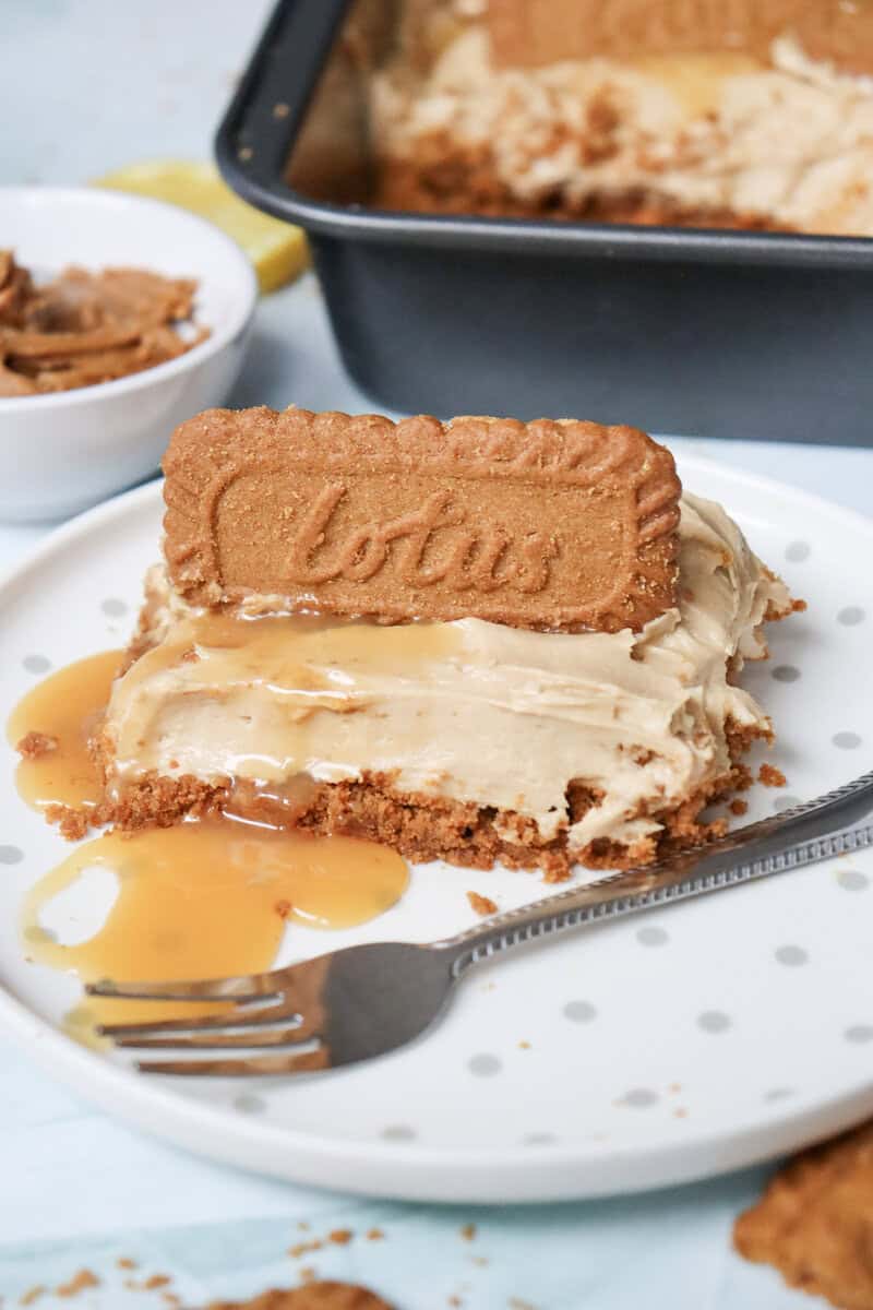 A slice of Biscoff cheesecake on a white plate with a fork, topped with a Lotus cookie and melted Biscoff spread.