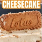 A slice of no bake Biscoff cheesecake topped with a Lotus Biscoff cookie, showing distinct creamy and crumbly layers.