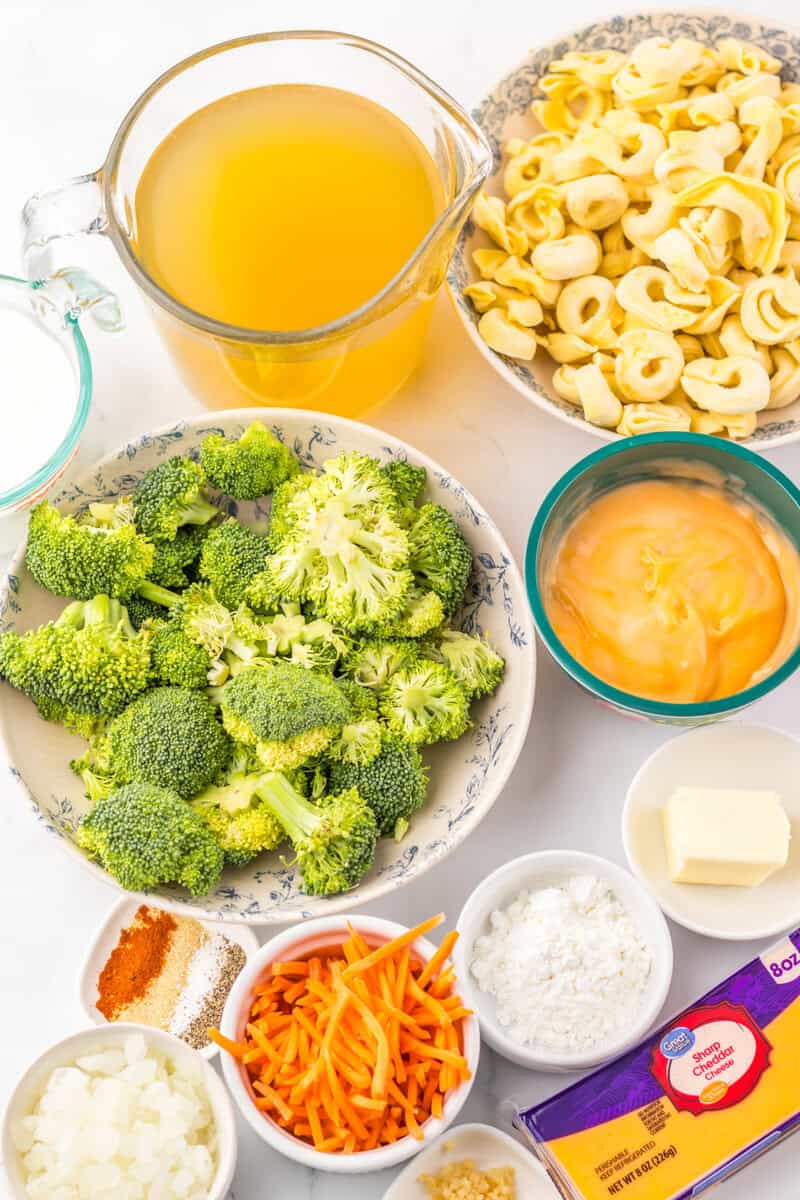 Broccoli, chicken broth, tortellini, condensed soup, butter, carrots, and spices on a white background.