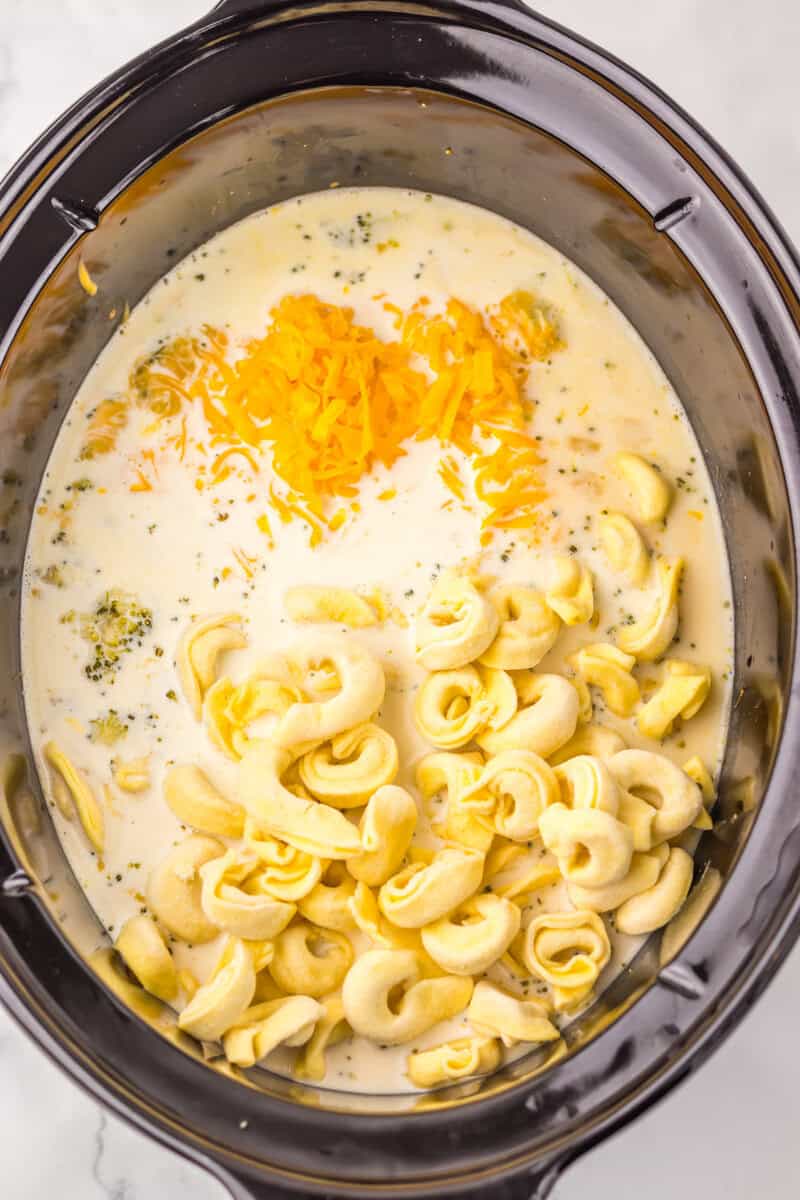 Cream, shredded cheddar cheese, and tortellini in a slow cooker.