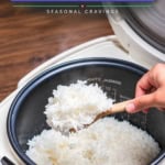 A hand holds a wooden spoon of cooked white rice over an open rice cooker with text overlays asking, “Is rice gluten free,” and noting “Seasonal Cravings.”